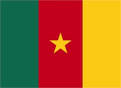 [ai] The national flag of Cameroon, featuring three vertical stripes of green, red, and yellow, with a yellow five-pointed star centered on the red stripe.